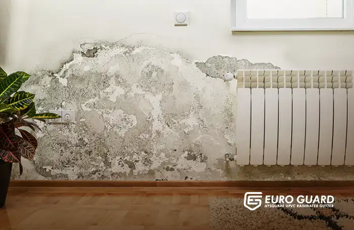 Rain Damage: Hidden Dangers & Smart Solutions to Save Big