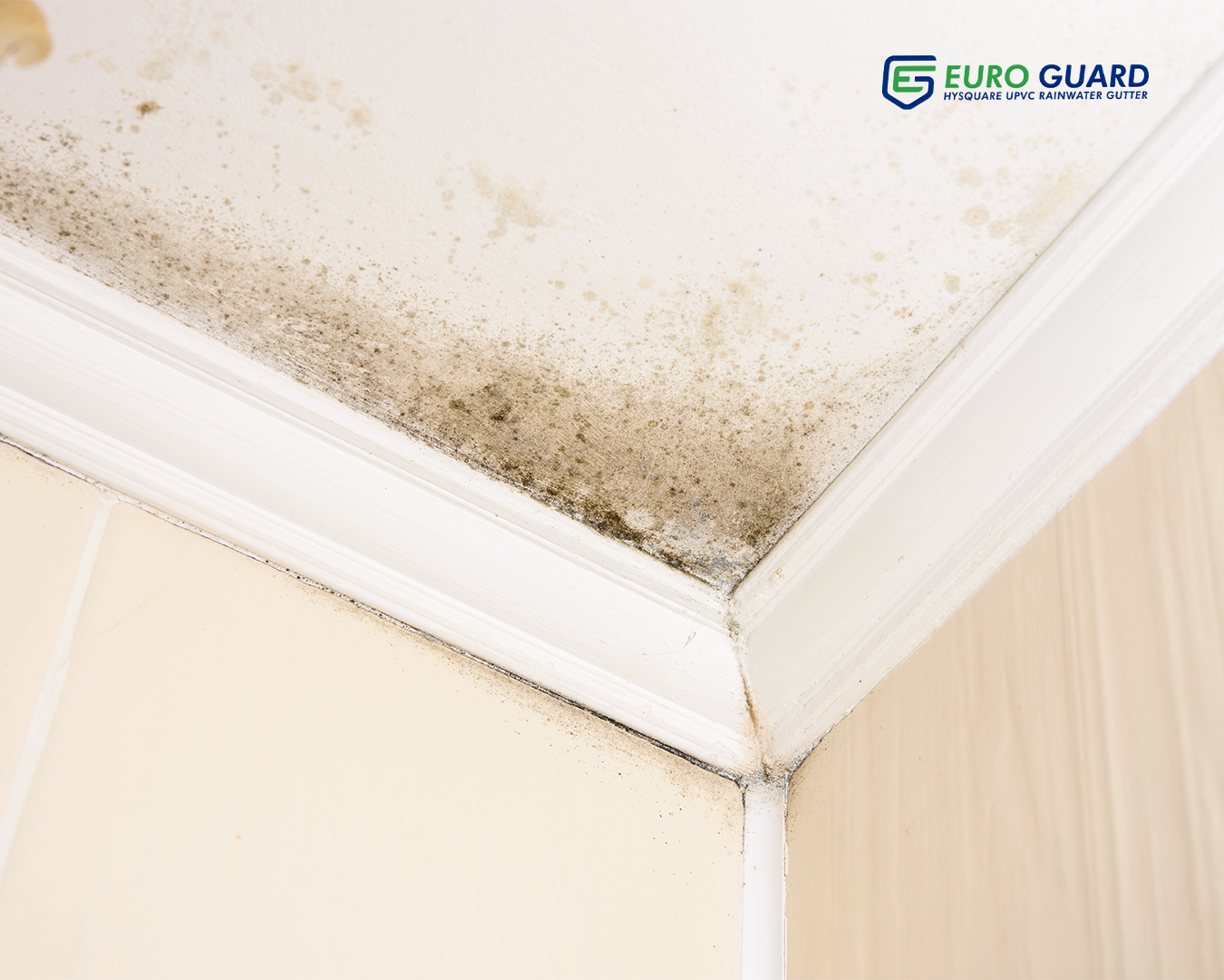 Prevent structural decay with rain gutters