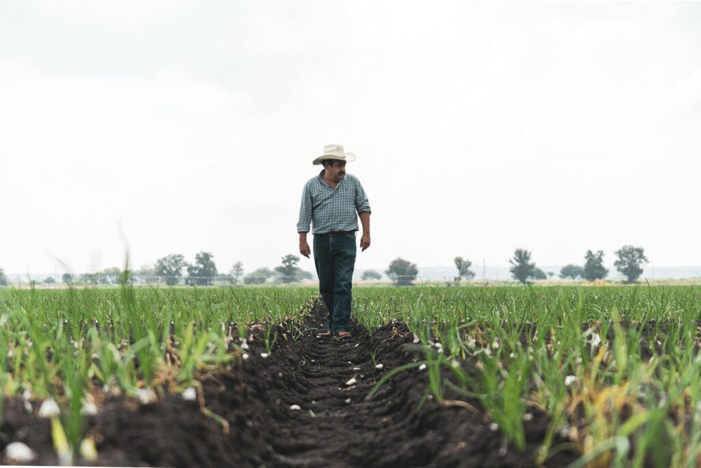 Importance of Groundwater Recharge